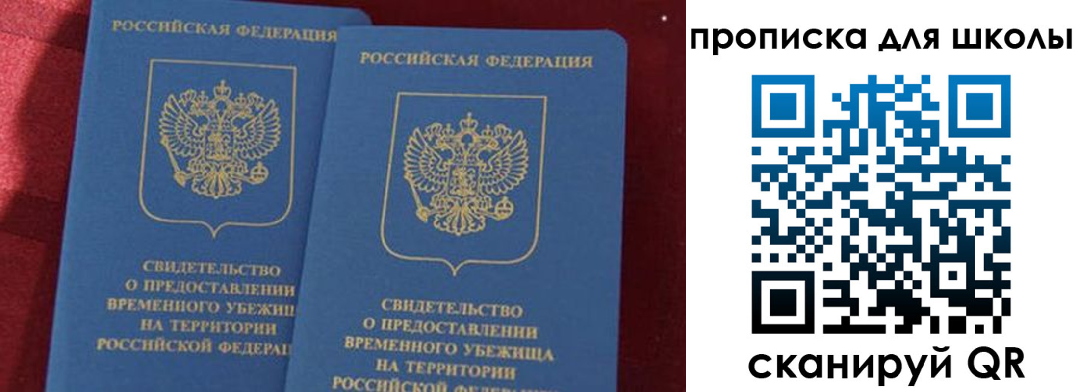 прописка поиск в Новозыбкове